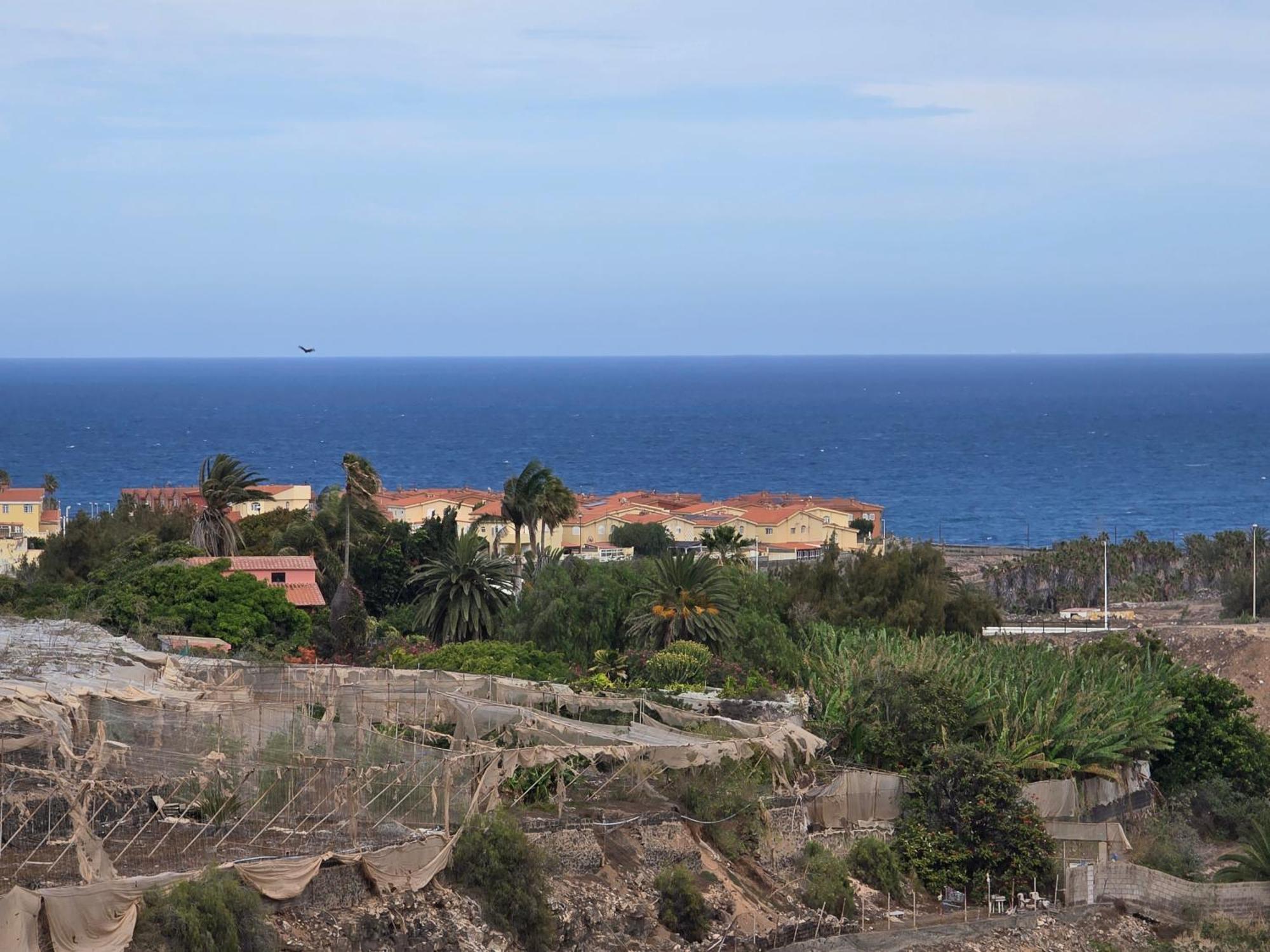 The Sealight Penthouse Διαμέρισμα La Garita Εξωτερικό φωτογραφία